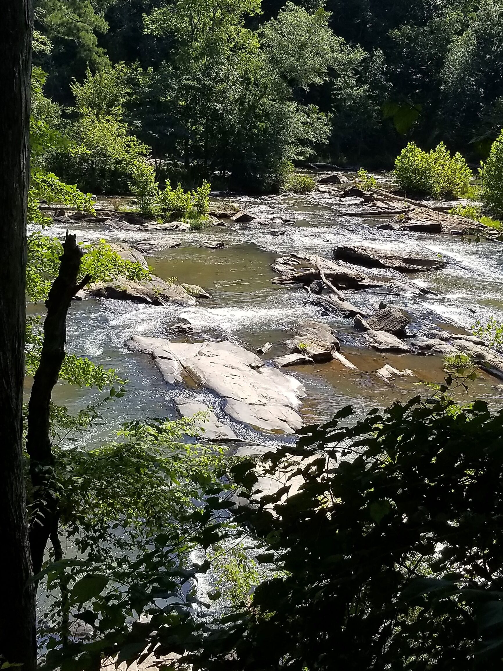 Sweetwater Creek State Park